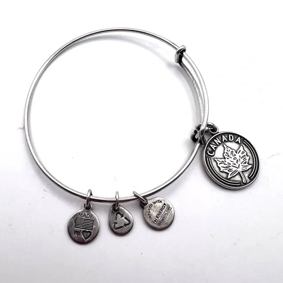 Alex and Ani Canada Maple Leaf Charm Bangle Bracelet Silver Tone 2014 - Picture 3 of 6